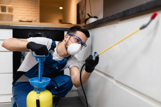Best Cockroach Control Services  in Fort Salonga, NY