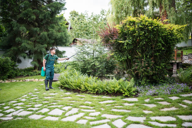 Best Best Pest Control Companies  in Fort Salonga, NY
