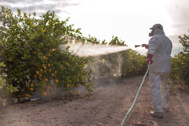 Reliable Fort Salonga, NY Pest Control Solutions