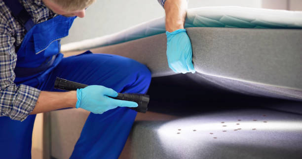 Best Best Pest Control Companies  in Fort Salonga, NY