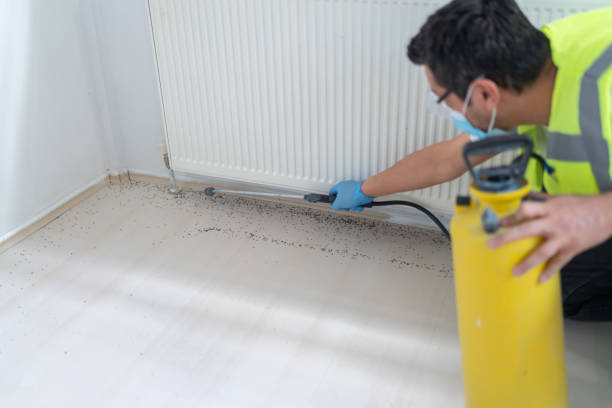Best Pest Inspection Near Me  in Fort Salonga, NY