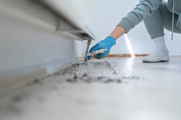 Best Commercial Pest Control Services  in Fort Salonga, NY