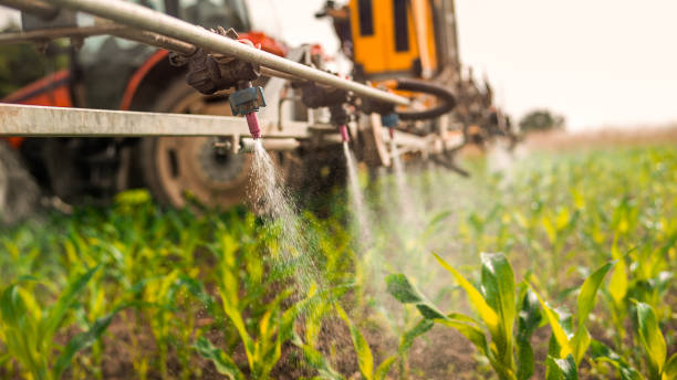Best Ant Control Services  in Fort Salonga, NY